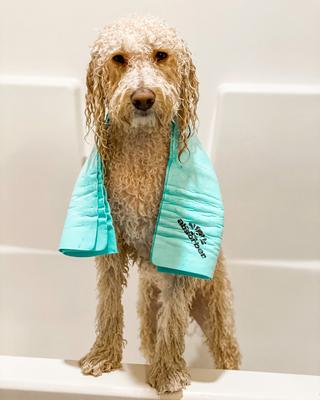 Show full view: The Absorber MAX Pet Towel, Lilac slide 3 of 4