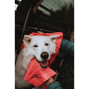 The Absorber XX-Large Pet Towel, Biscuit