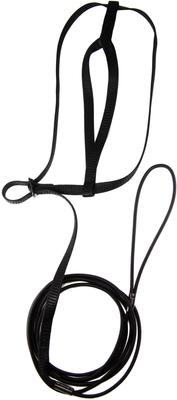 Show full view: The Aviator Bird Harness & Leash, Black, X-Large slide 4 of 8