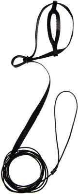 Show full view: The Aviator Bird Harness & Leash, Black, XX-Small slide 3 of 9