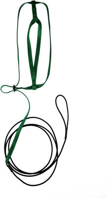 Show full view: The Aviator Bird Harness & Leash, Green, X-Large slide 3 of 6