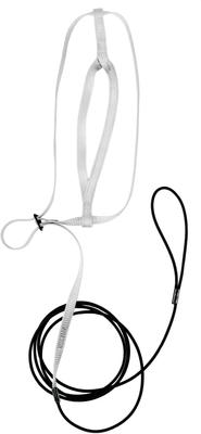 Show full view: The Aviator Bird Harness & Leash, Silver, X-Large slide 3 of 8
