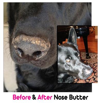 Show full view: The Blissful Dog 3 Cute Puppies Nose Butter, 0.15-fl oz tube slide 6 of 7