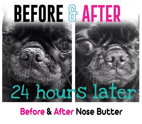 Show full view: The Blissful Dog 3 Cute Puppies Nose Butter, 2-fl oz tin slide 5 of 7