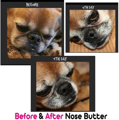 Show full view: The Blissful Dog 3 Cute Puppies Nose Butter, 4-fl oz tin slide 5 of 6