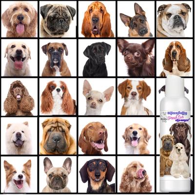 Show full view: The Blissful Dog Blissfully Fresh Dog Ear Cleaner, 4-fl oz bottle slide 5 of 7