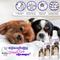 Show in main carousel: The Blissful Dog Blissfully Fresh Dog Ear Cleaner, 4-fl oz bottle slide 4 of 7