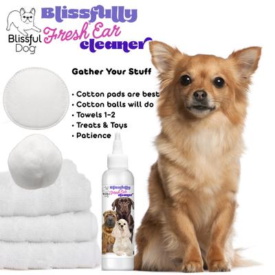 Show full view: The Blissful Dog Blissfully Fresh Dog Ear Cleaner, 4-fl oz bottle slide 6 of 7