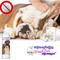 Show in main carousel: The Blissful Dog Blissfully Fresh Dog Ear Cleaner, 4-fl oz bottle slide 3 of 7