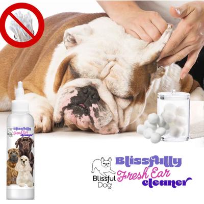 Show full view: The Blissful Dog Blissfully Fresh Dog Ear Cleaner, 4-fl oz bottle slide 3 of 7