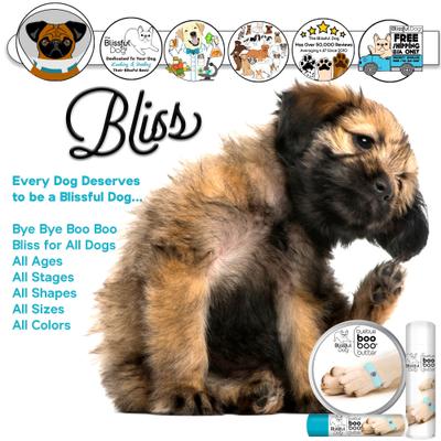 Show full view: The Blissful Dog Boo Boo Butter Dog Skin Balm, 0.15-oz tube slide 3 of 8