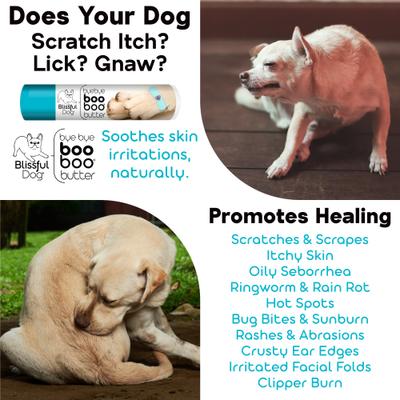 Show full view: The Blissful Dog Boo Boo Butter Dog Skin Balm, 2-oz tin slide 4 of 8