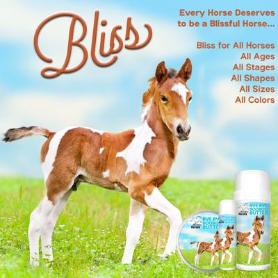 Show full view: The Blissful Dog Boo Boo Butter Horse Skin Balm, 4-oz tin slide 5 of 7