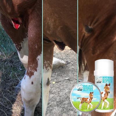 Show full view: The Blissful Dog Boo Boo Butter Horse Skin Balm, 4-oz tin slide 7 of 7