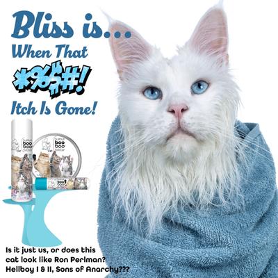 Show full view: The Blissful Dog Boo Boo Cat Paw Cream, 1-fl oz tin slide 3 of 8