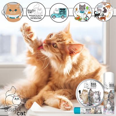 Show full view: The Blissful Dog Boo Boo Cat Paw Cream, 1-fl oz tin slide 4 of 8