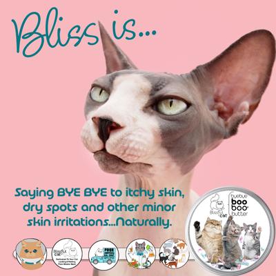 Show full view: The Blissful Dog Boo Boo Cat Paw Cream, 2-fl oz tin slide 2 of 8