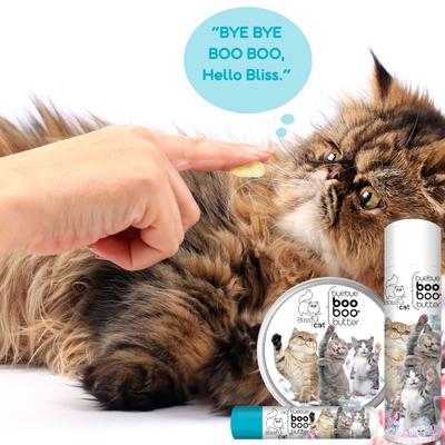 Show full view: The Blissful Dog Boo Boo Cat Paw Cream, 2-fl oz tin slide 3 of 8