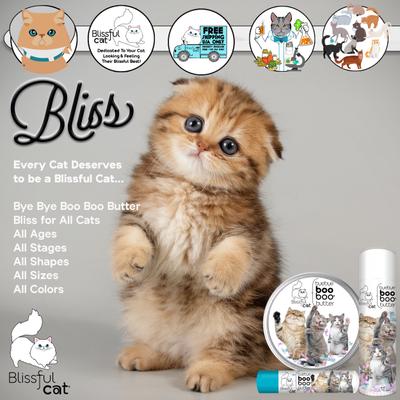 Show full view: The Blissful Dog Boo Boo Cat Paw Cream, 2-fl oz tin slide 4 of 8