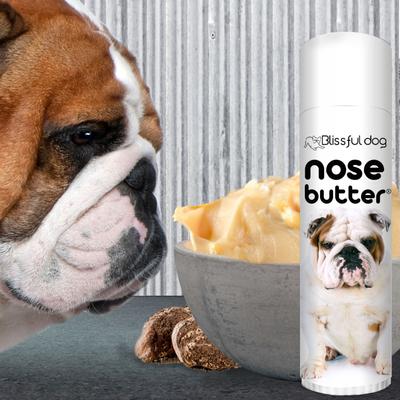 Show full view: The Blissful Dog Bulldog Nose Butter, 0.5-fl oz tube slide 4 of 7