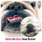 Show in main carousel: The Blissful Dog Bulldog Nose Butter, 0.5-fl oz tube slide 5 of 7