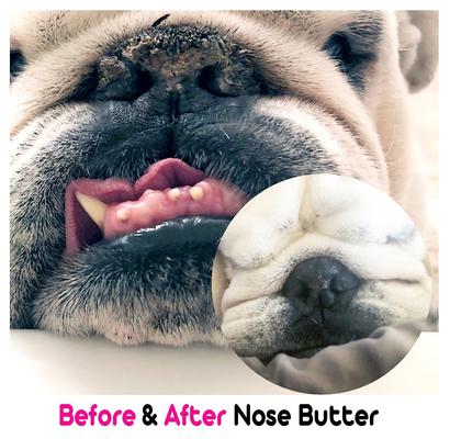 Show full view: The Blissful Dog Bulldog Nose Butter, 0.5-fl oz tube slide 5 of 7