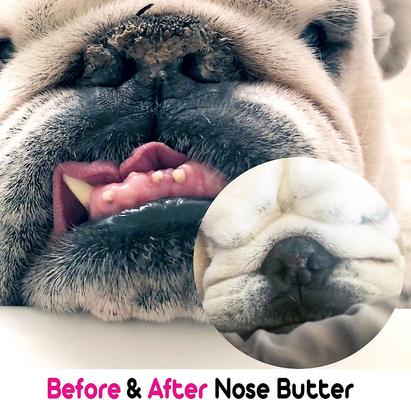 Show full view: The Blissful Dog Bulldog Nose Butter, 2.25-fl oz tube slide 5 of 7