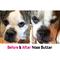 Show in main carousel: The Blissful Dog Bulldog Nose Butter, 2.25-fl oz tube slide 6 of 7