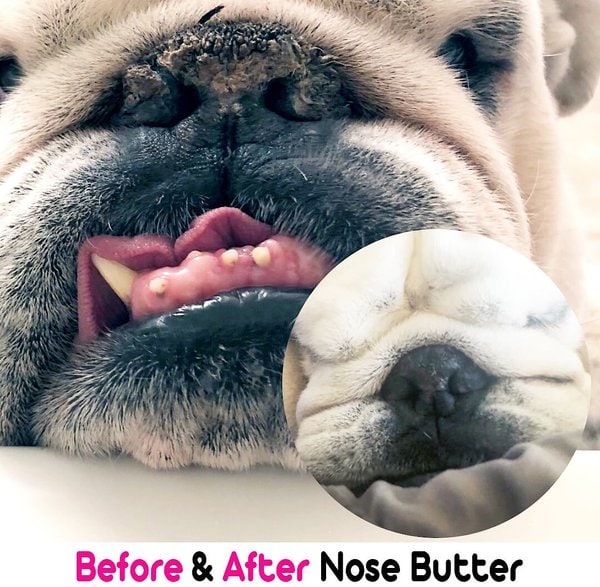 Olde English Bulldogge Nose Butter® Handcrafted in Minnesota Using