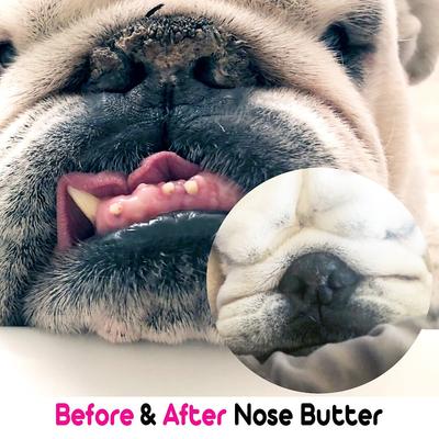 Show full view: The Blissful Dog Bulldog Nose Butter, 2-fl oz tin slide 5 of 6