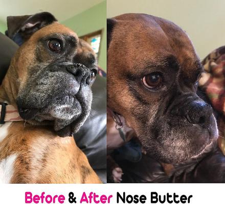 Show full view: The Blissful Dog Bulldog Nose Butter, 4-fl oz tin slide 4 of 6