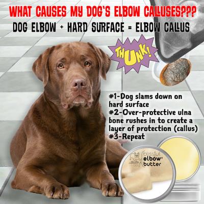 Show full view: The Blissful Dog Butter Dog Elbow Balm, 8-oz tin slide 5 of 9