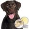 Show in main carousel: The Blissful Dog Butter Dog Elbow Balm, 8-oz tin slide 2 of 9