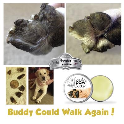 Show full view: The Blissful Dog Butter Dog Paw Balm, 4-oz tin slide 5 of 8