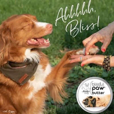 Show full view: The Blissful Dog Butter Dog Paw Balm, 4-oz tin slide 3 of 8