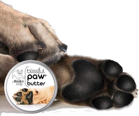 Show full view: The Blissful Dog Butter Dog Paw Balm, 8-oz tin slide 2 of 8