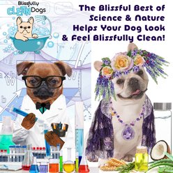 The Blissful Dog Bye Bye Boo Boo Dog Shampoo, 8-fl oz bottle slide 2 of 7