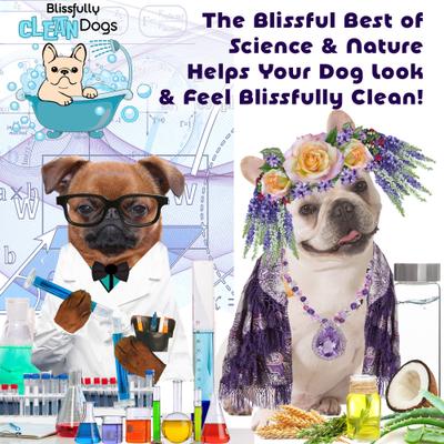 Show full view: The Blissful Dog Bye Bye Boo Boo Dog Shampoo, 8-fl oz bottle slide 7 of 8