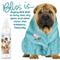 Show in main carousel: The Blissful Dog Bye Bye Boo Boo Dog Spray, 8-fl oz bottle slide 3 of 6