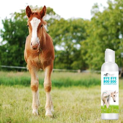 Show full view: The Blissful Dog Bye Bye Boo Boo Horse Shampoo, 16-fl oz bottle slide 4 of 5
