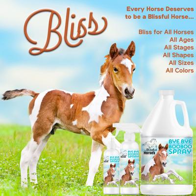 Show full view: The Blissful Dog Bye Bye Boo Boo Horse Skin Spray, 16-fl oz bottle slide 4 of 7