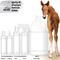 Show in main carousel: The Blissful Dog Bye Bye Boo Boo Horse Skin Spray, 16-fl oz bottle slide 5 of 7