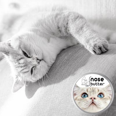 Show full view: The Blissful Dog Cat Nose Cream, 2-fl oz tin slide 2 of 9