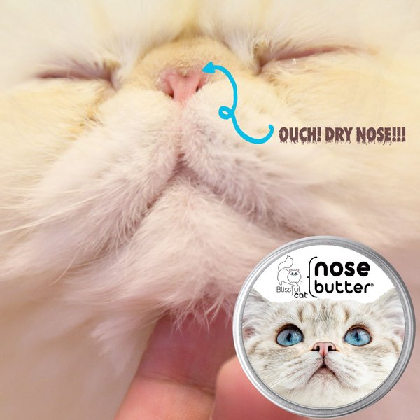 The Blissful Dog Cat Nose Cream