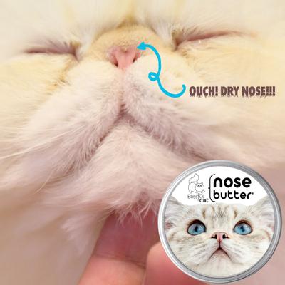 Show full view: The Blissful Dog Cat Nose Cream, 2-fl oz tin slide 3 of 9