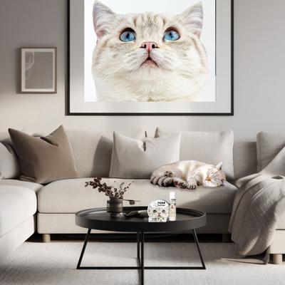 Show full view: The Blissful Dog Cat Nose Cream, 2-fl oz tin slide 8 of 9