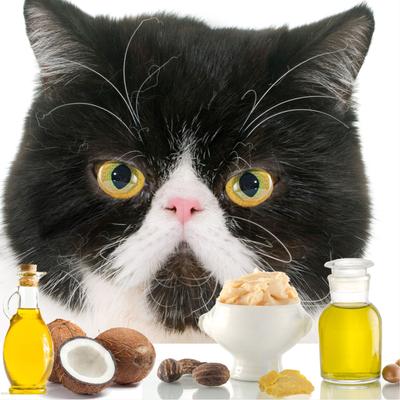 Show full view: The Blissful Dog Cat Nose Cream, 2-fl oz tin slide 7 of 9