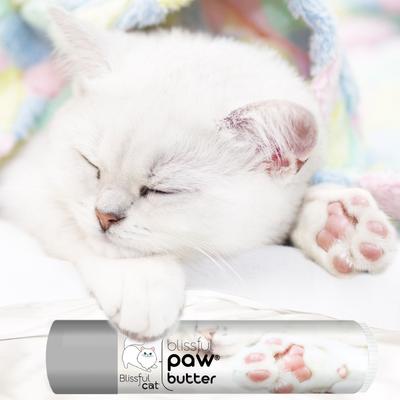 Show full view: The Blissful Dog Cat Paw Cream, 0.15-oz tube slide 3 of 9