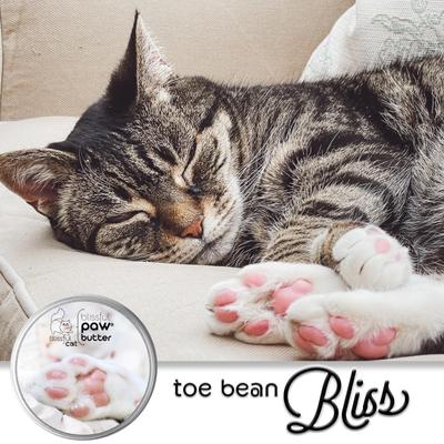 Show full view: The Blissful Dog Cat Paw Cream, 2-fl oz tin slide 2 of 8