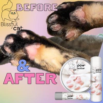 Show full view: The Blissful Dog Cat Paw Cream, 2-fl oz tin slide 6 of 8